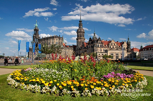 Dresden in Summer