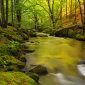 River of Gold