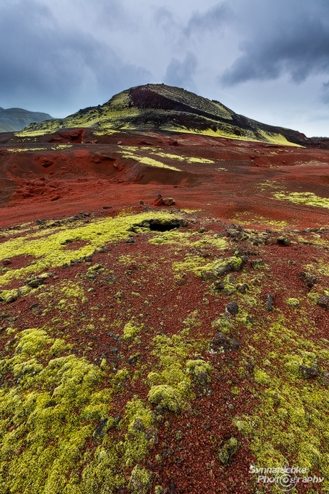 Red lava and moss