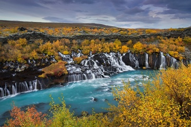 Hraunfossar surrounded by fall foliage