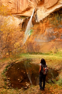 Hiker and Waterfall