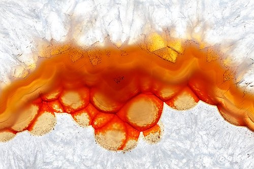 Red Bubbles - Agate Detail