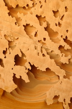 Sandstone Fins 1