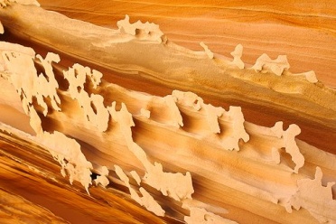 Sandstone Fins