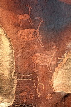 Mountain Goats Petroglyphs