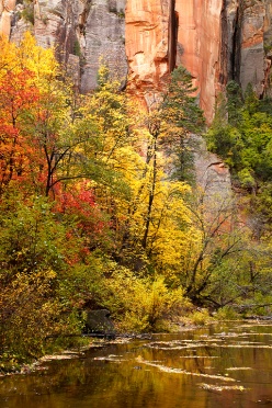  West Fork of the Oak Creek Canyon