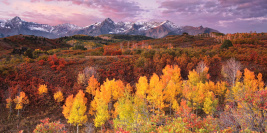 Colorado