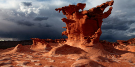 Nevada
