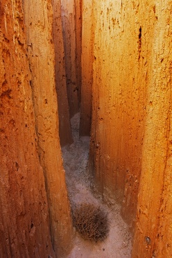 Cathedral Gorge Caves