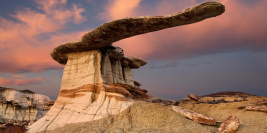 New Mexico