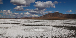 Landscapes