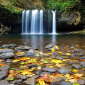 Butte Creek Falls