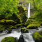 Elowah Falls