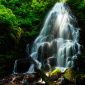 Fairy Falls - Columbia River Gorge