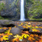 Fall in the Gorge