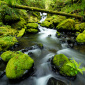 Fern Creek