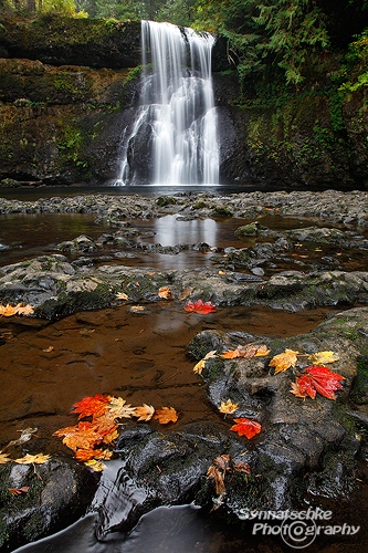 Lower North Falls - Silver Falls State Park