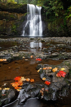 Lower North Falls - Silver Falls State Park