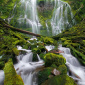 Lower Proxy Falls