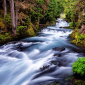 McKenzie River