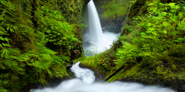 Pacific Northwest