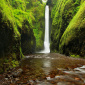 Oneonta Gorge