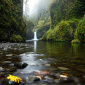 Punchbowl Falls in Fall