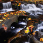 Small Cascades Fall