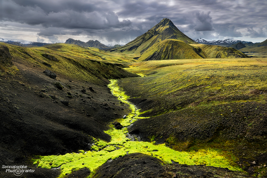 Neon Green Moss at the Highlands in Iceland