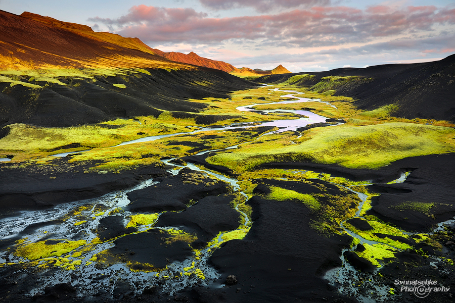 Neon Green Moss in the Icelandic Highlands
