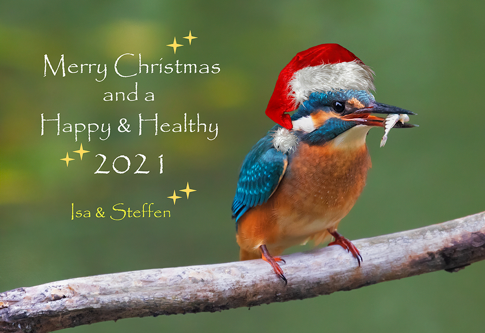 Merry Christmas and a Happy, Healthy 2021