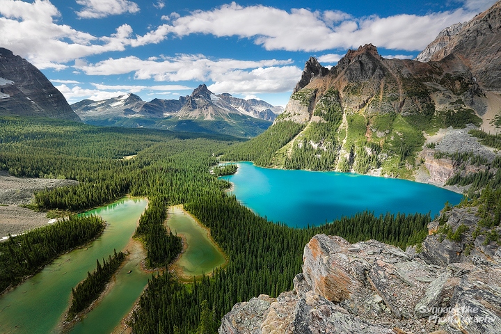 Opabin Prospect at Lake O'Hara | Mountains & Lakes | Canada ...