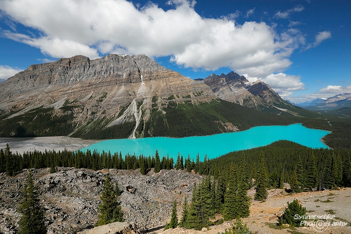 Peyto Lake at Icefields Parkway
