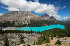 Peyto Lake at Icefields Parkway