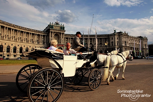 Fiaker Vor Der Hofburg