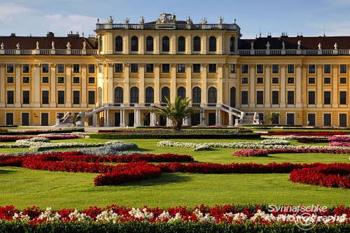 Schloss Schoenbrunn Mit Blumen