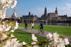 dresden-in-spring