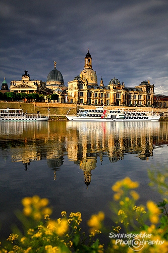 Dresden and summer flowers along the shores of the river Elbe