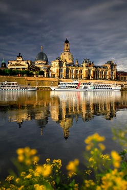 Dresden and summer flowers along the shores of the river Elbe