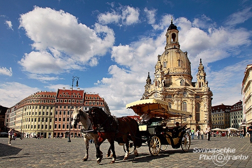 Dresden Kutsche Vor Der Frauenkirche