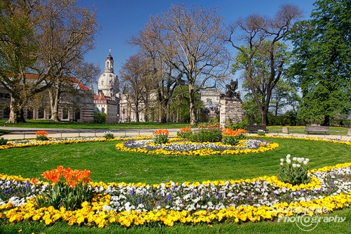 dresden-spring-flowers