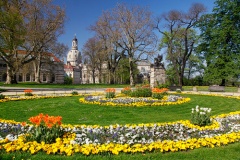 dresden-spring-flowers