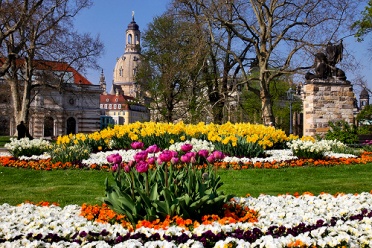 Frauenkirche and Flowers