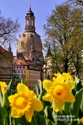 Frauenkirche Yellow Flowers