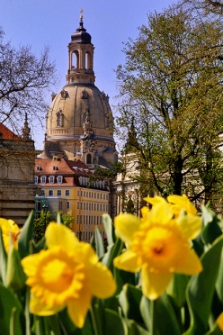 Frauenkirche Yellow Flowers