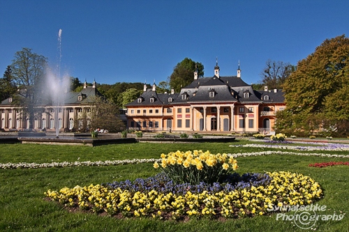 Schloss Pillnitz Spring