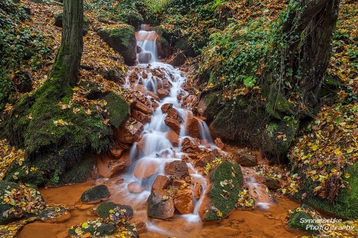 Double Tree Cascades