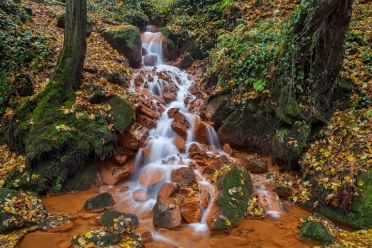 Double Tree Cascades