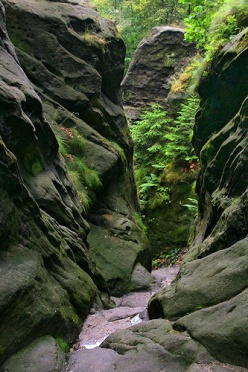 Wilde Hoelle Canyon
