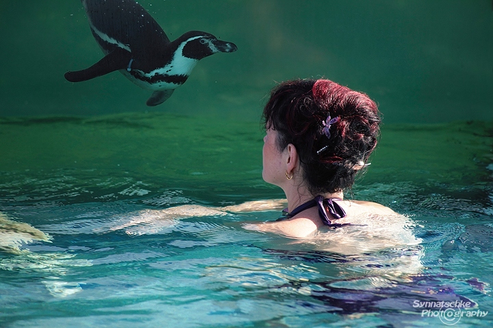 spreewelten-baden-mit-pinguinen
